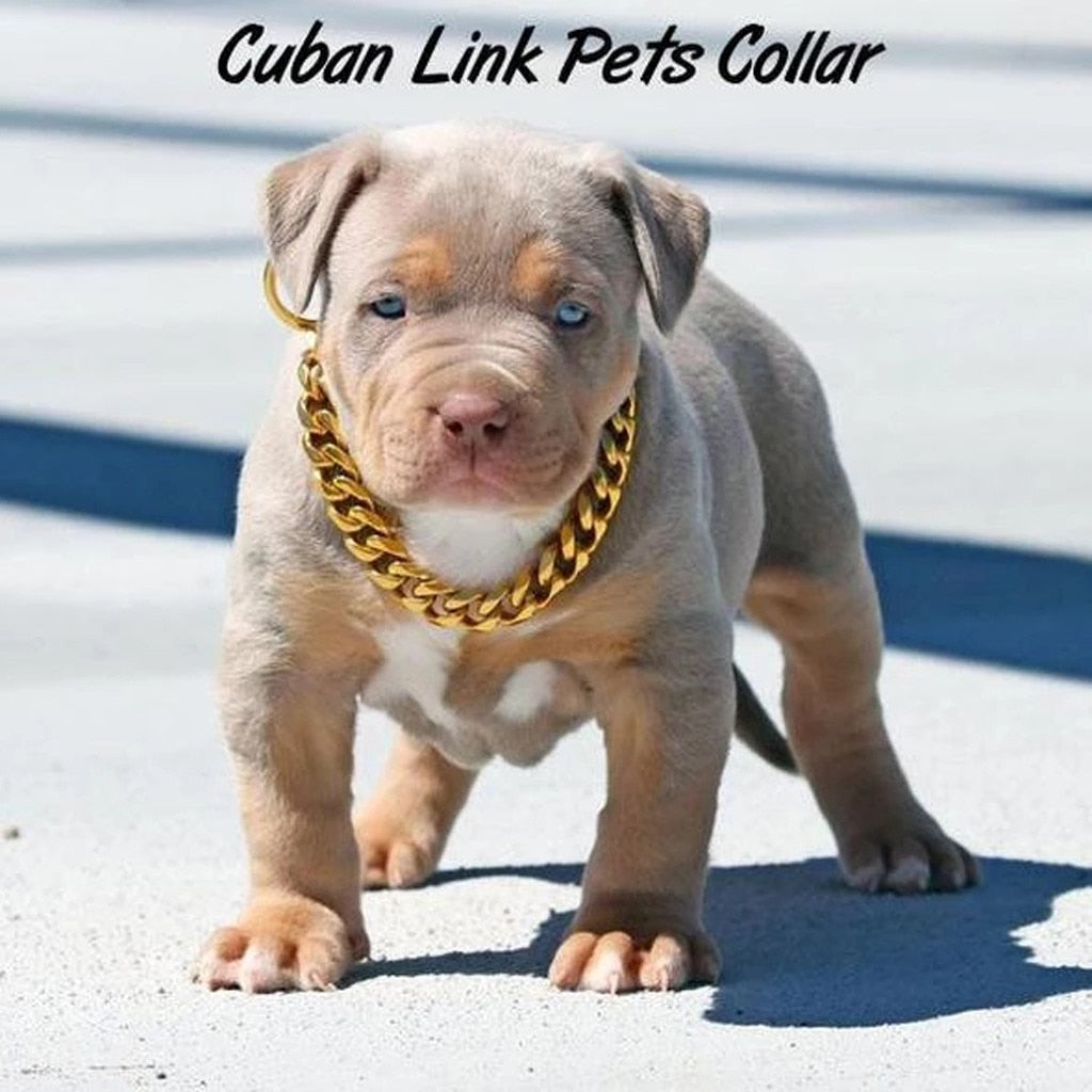 THUGPET - THICK CUBAN LINK CHAIN PET COLLAR