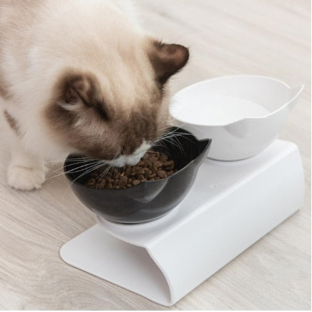 HEALTHY BOWL - ANTI-VOMITING TILTED ELEVATED PET BOWL SET