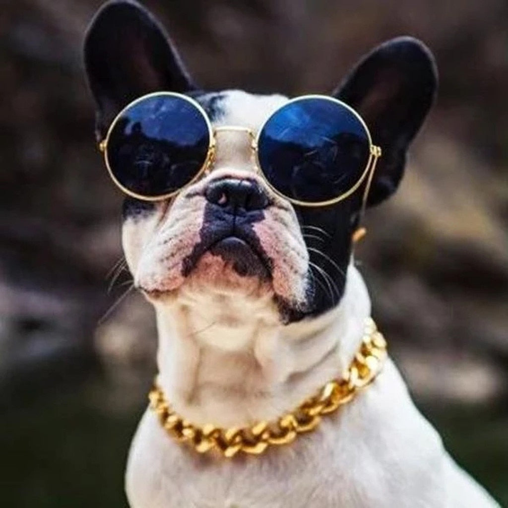 THUGPET - THICK CUBAN LINK CHAIN PET COLLAR