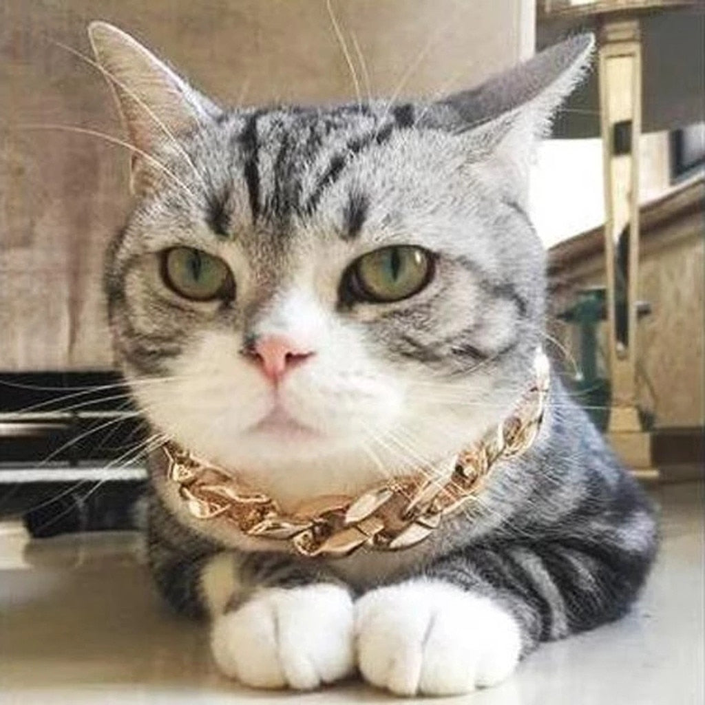 THUGPET - THICK CUBAN LINK CHAIN PET COLLAR