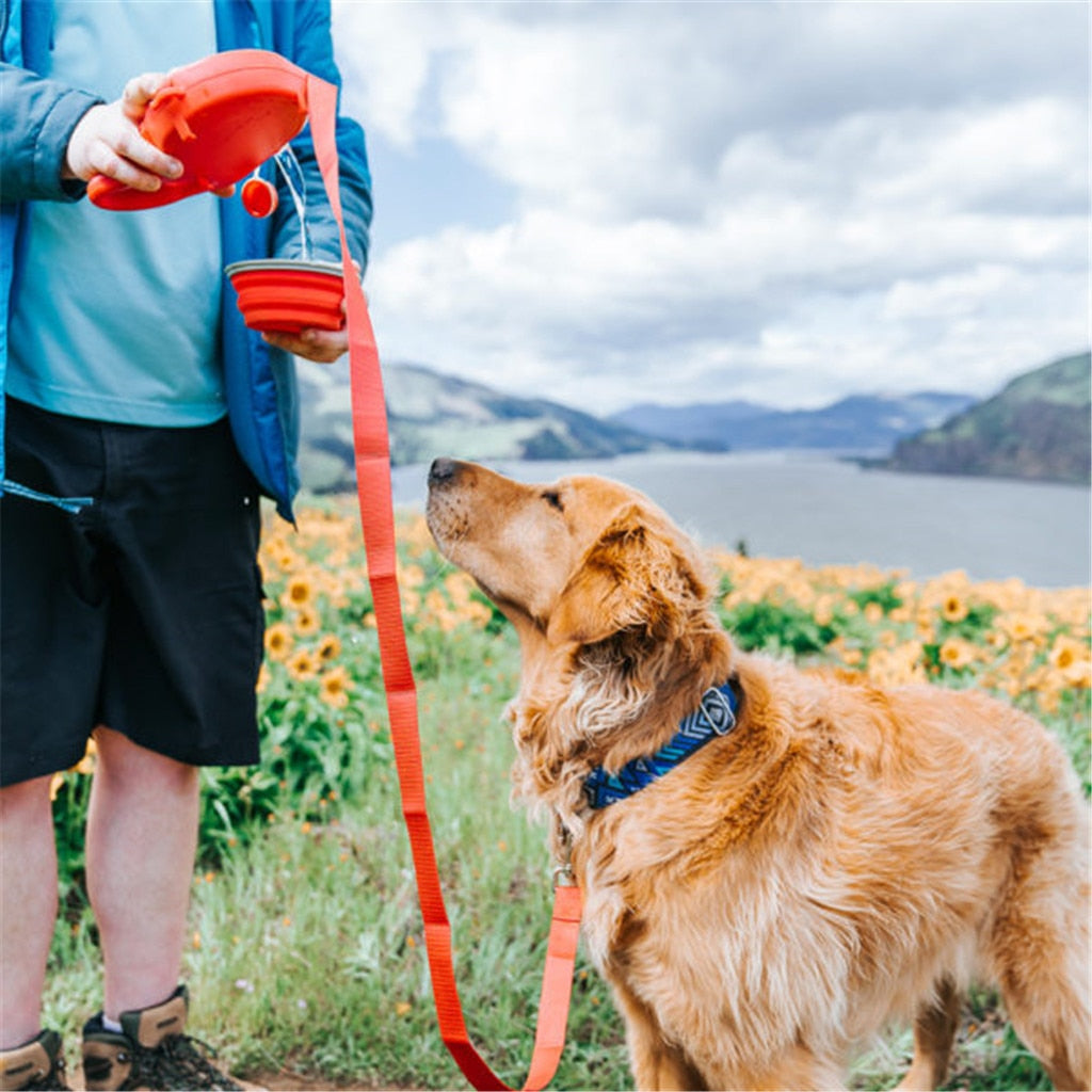 Super Dog Leash